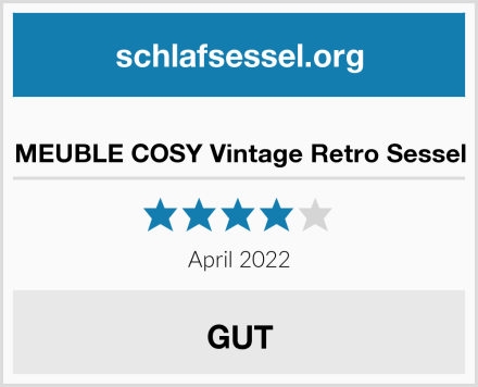  MEUBLE COSY Vintage Retro Sessel Test